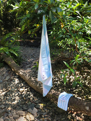 6 Pack Signature Beach Towels Bundle